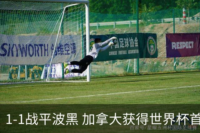 1-1战平波黑 加拿大获得世界杯首个积分