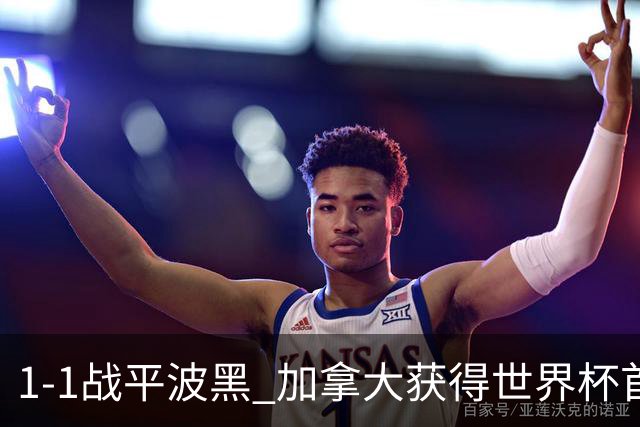 1-1战平波黑 加拿大获得世界杯首个积分